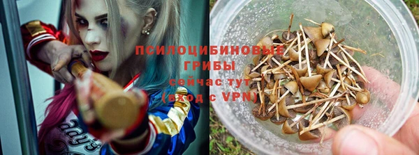 spice Богородицк