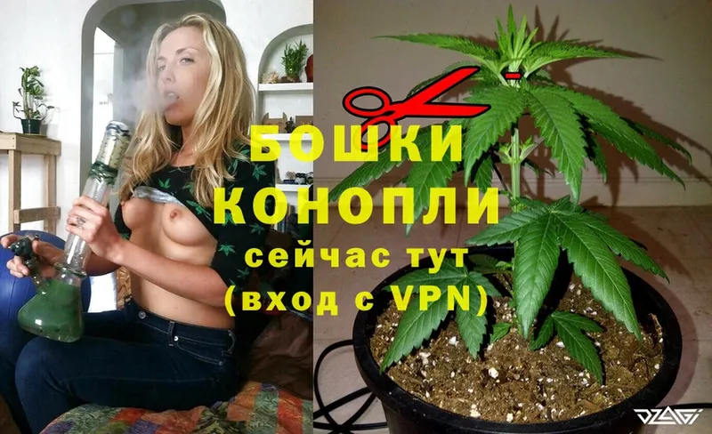 сколько стоит  Заречный  Бошки марихуана OG Kush 